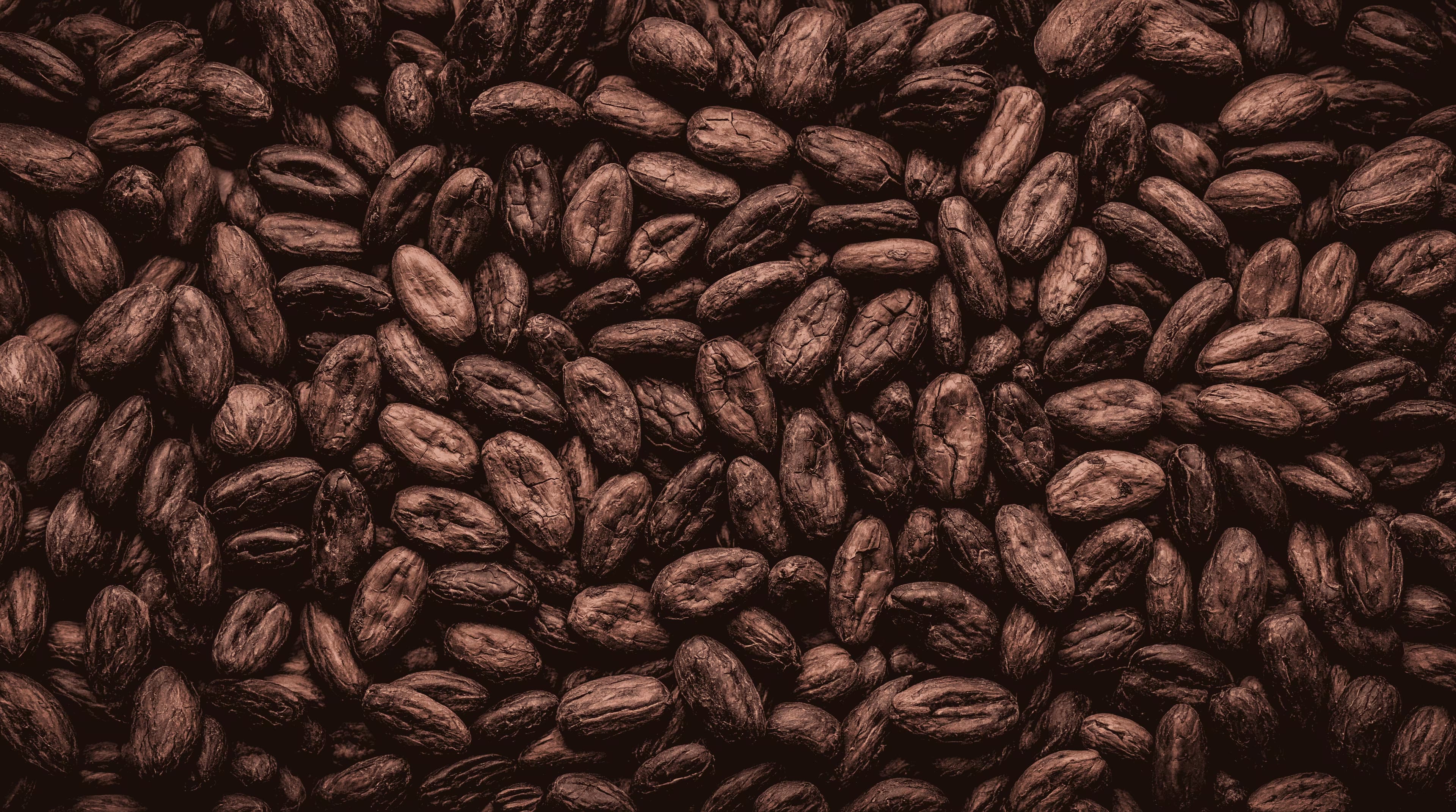 Cocoa beans background