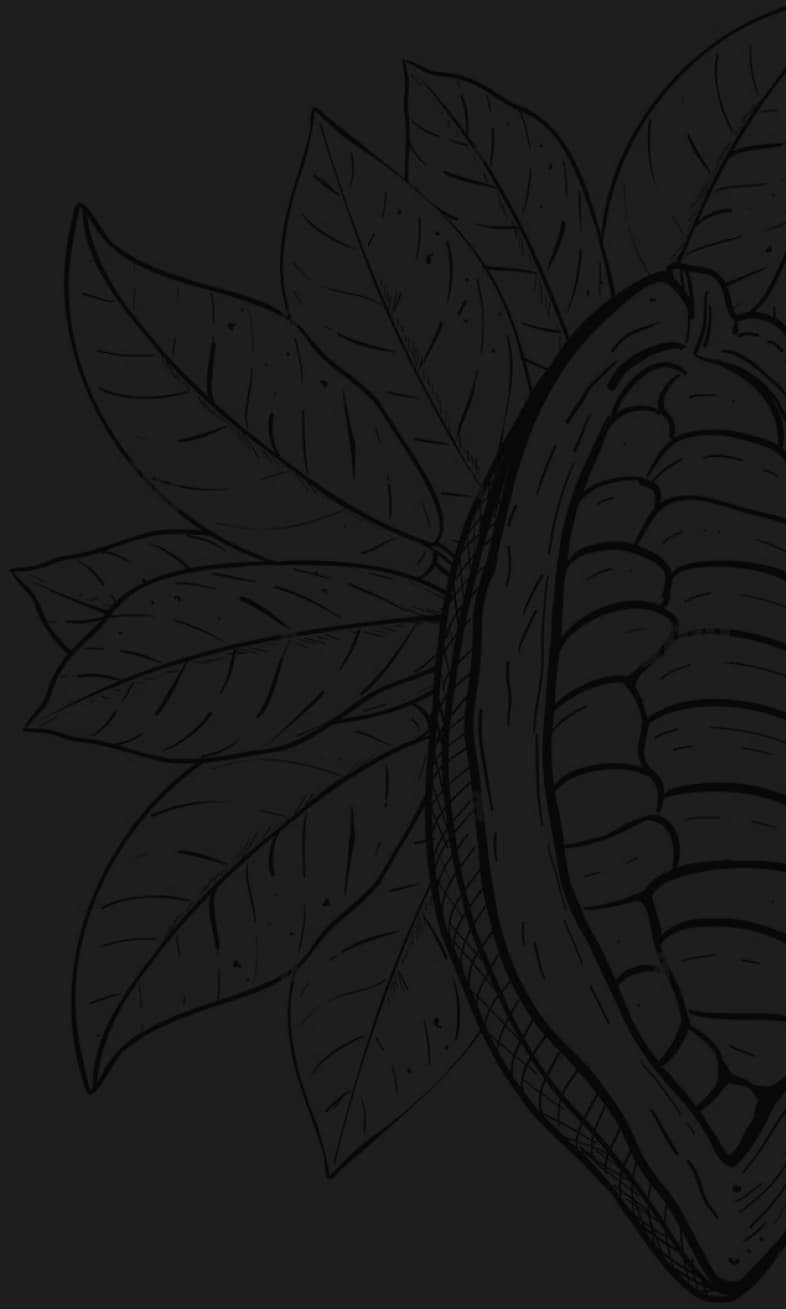 Texture